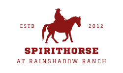 Spirithorse At Rainshadow Ranch